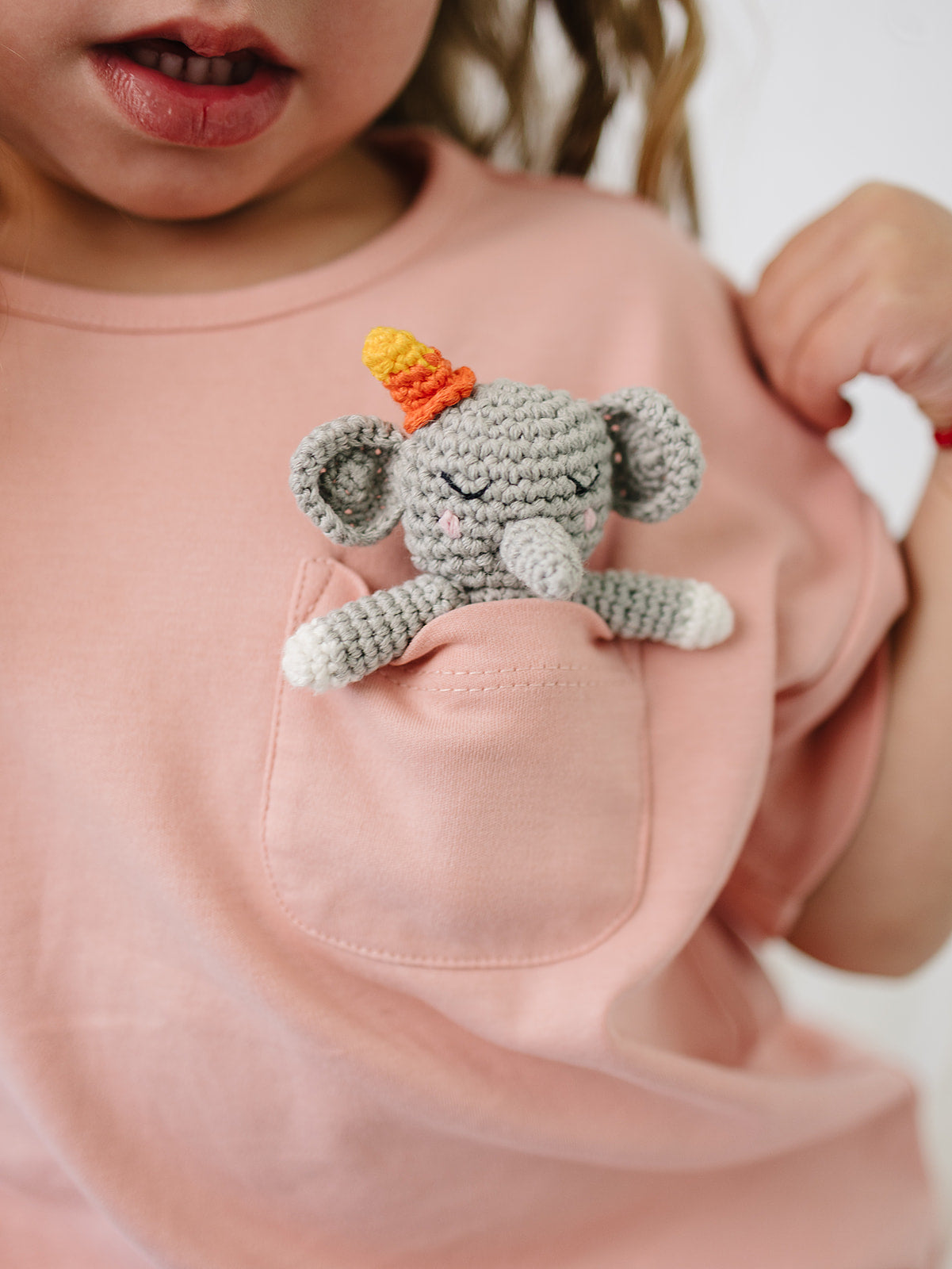 Pocket Elephant